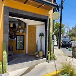 Dowtown Lofts By Flor Y Tierra