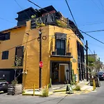 Dowtown Lofts By Flor Y Tierra