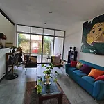 5 Comfortable And Cozy Room