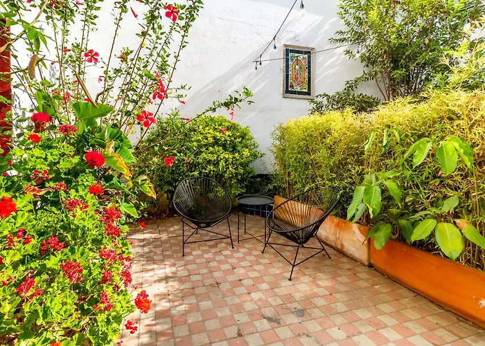 Charming Apartment In Colonia Americana With 1 Bedroom