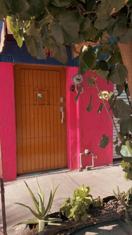 Casa Nangpa And Pensión Guadalajara