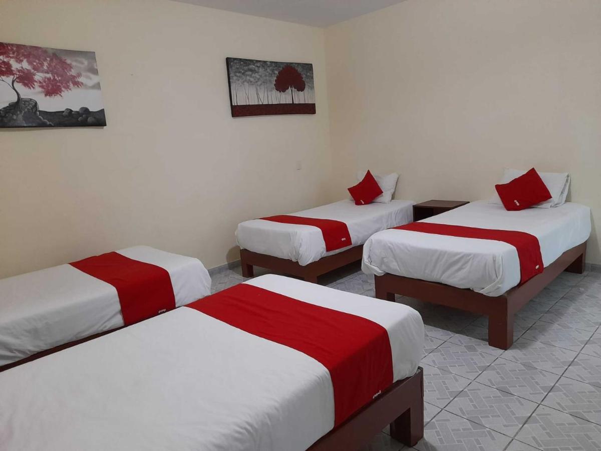 Oyo Platinium Gran Hotel,guadalajara,artesanias Tonala Hotel