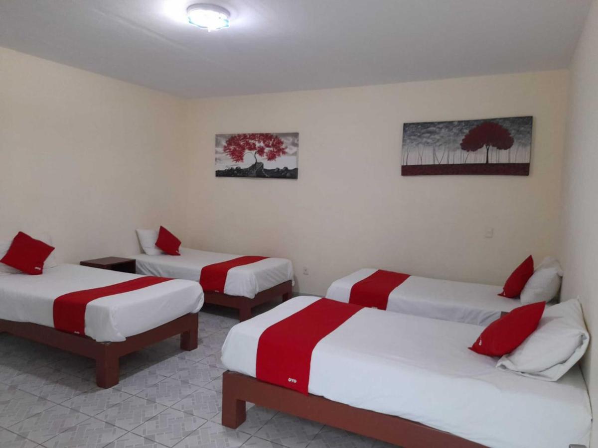 Hotel Oyo Platinium Gran Hotel,guadalajara,artesanias Tonala Guadalajara