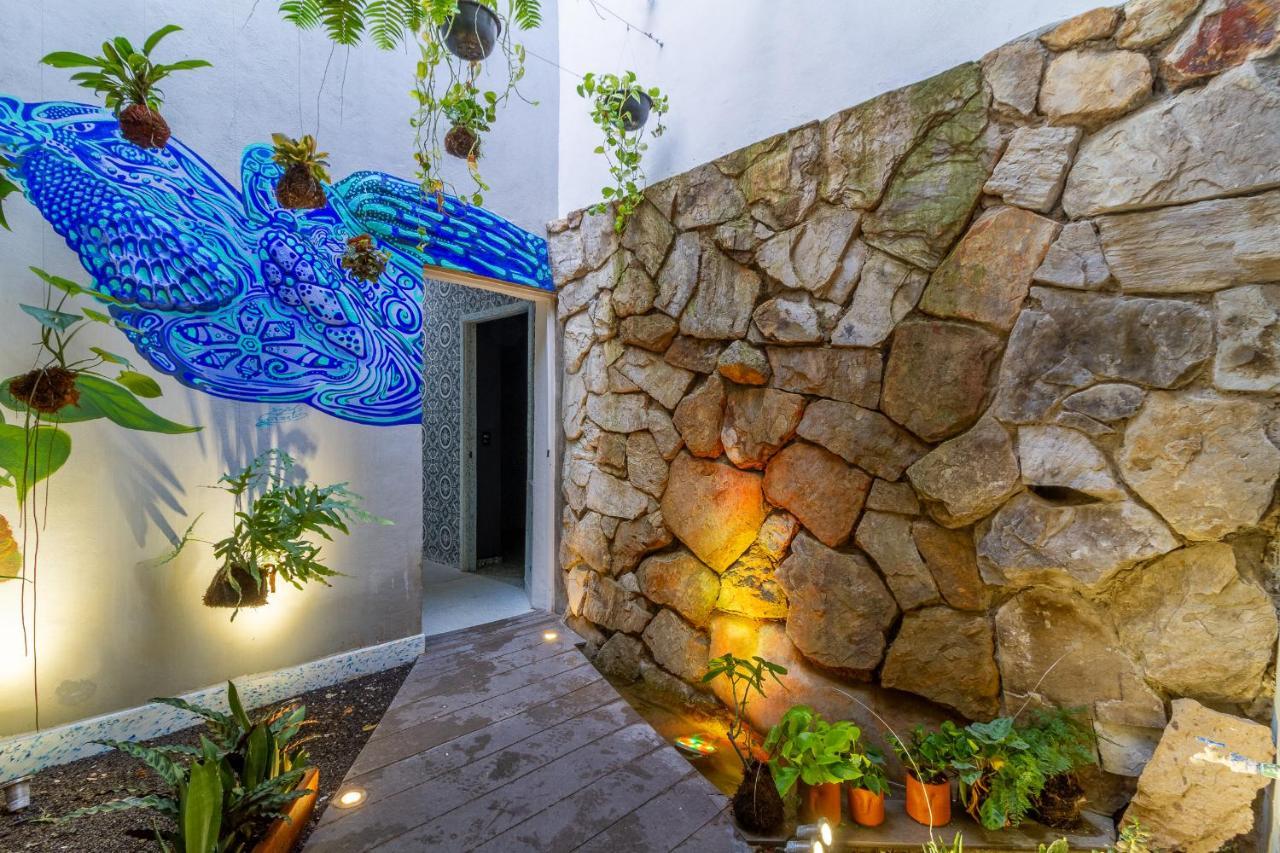 Bed & Breakfast Akasha ● Ecohost & Walking Distance To Downtown Guadalajara