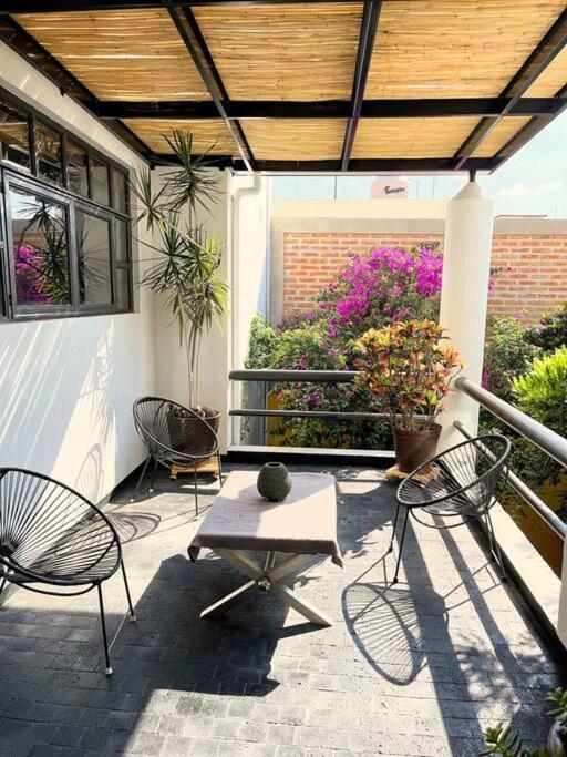 Piece Of Paradise In The Apartment