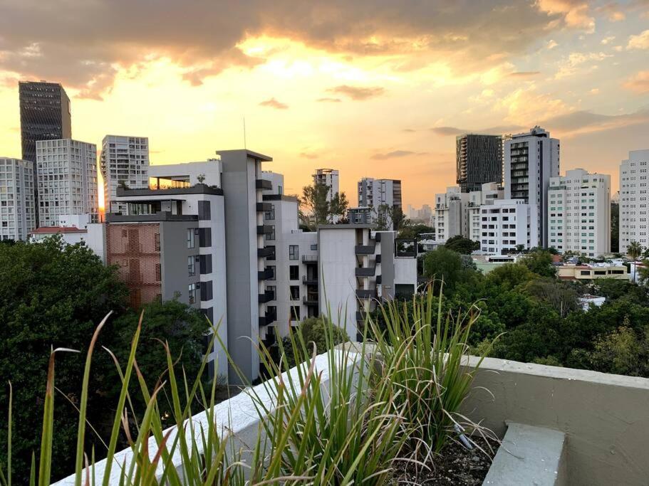 Lujoso En Zona Financiera / Limpieza Diaria Apartamento Guadalajara