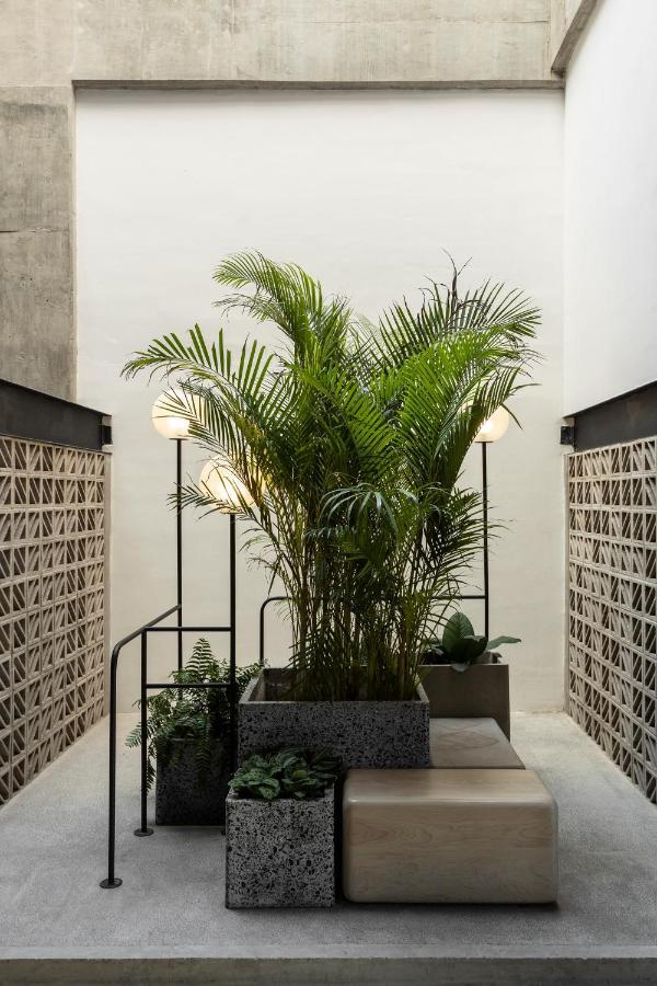 Paradise Flat Witgdl