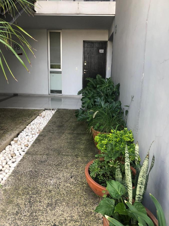 Apartamento Departamento De Lujo, Exclusivo Terraza Y Jardin Gh02
