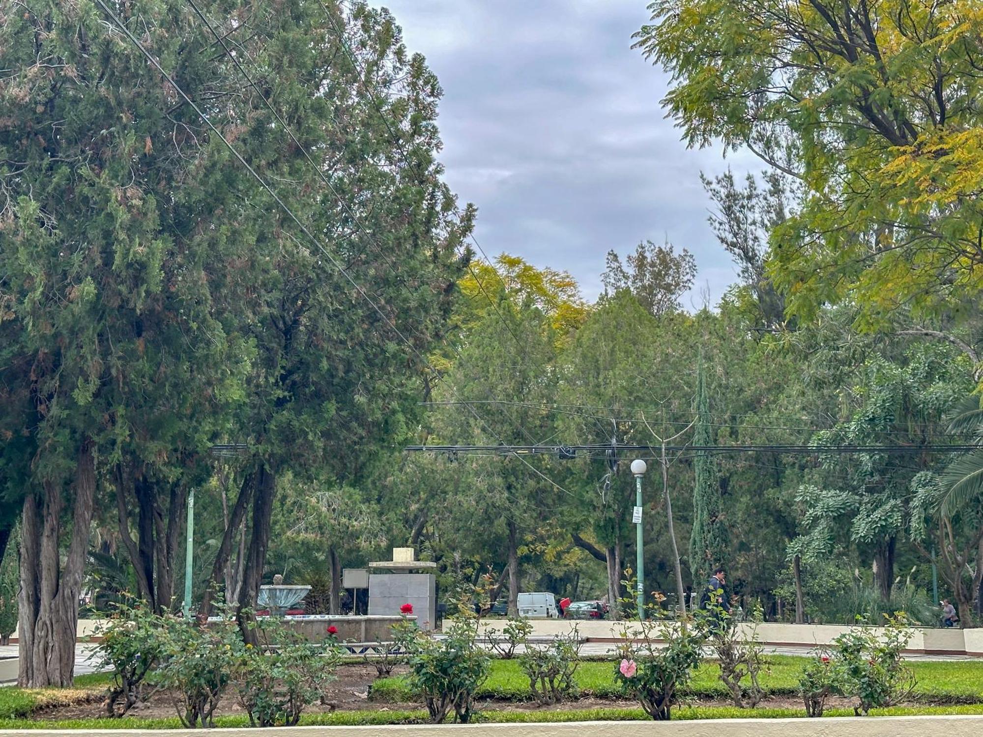 Apartamento Refugio Agradable En Chapalita Estilo Clasico 12 *
