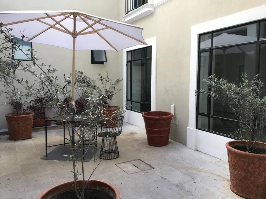 Casa Monarcas - Katerina