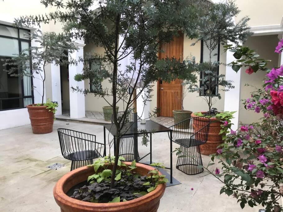 Casa Monarcas - Katerina Apartamento