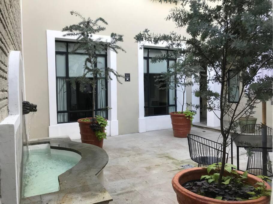 Casa Monarcas - Katerina * Guadalajara