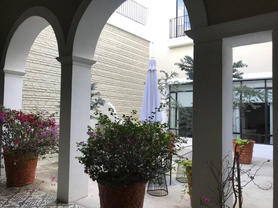 Apartamento Casa Monarcas - Katerina Guadalajara