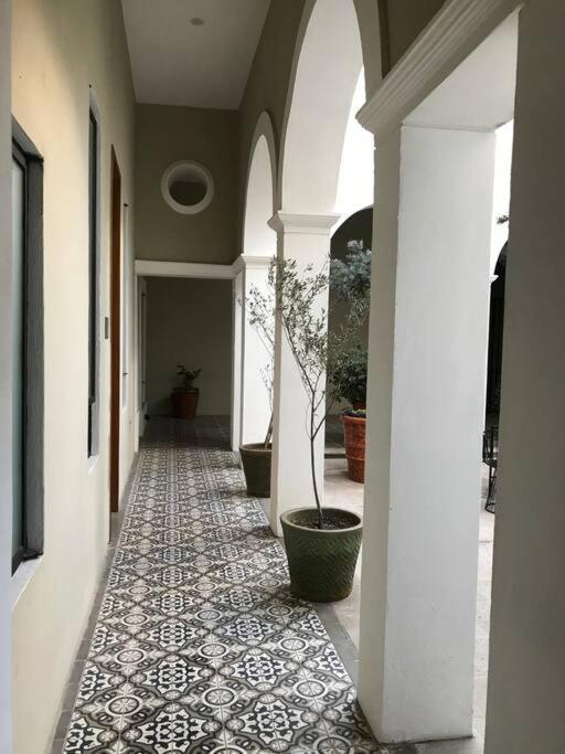 Casa Monarcas - Katerina * Guadalajara