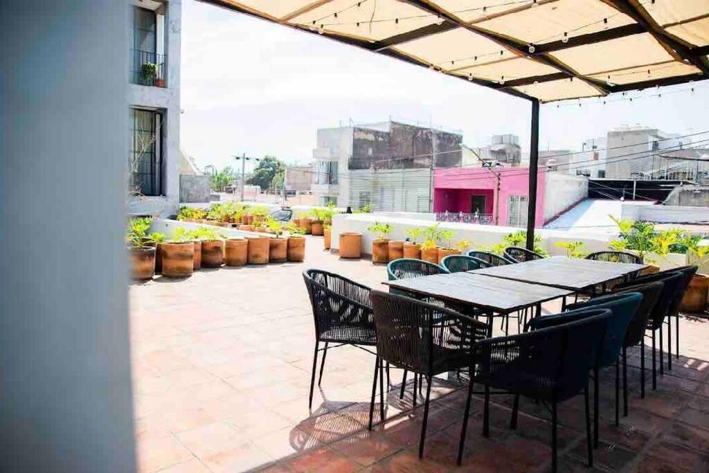 Apartamento Beautiful Loft In Colonia Americana