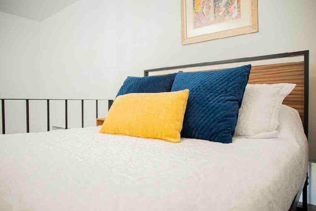 Beautiful Loft In Colonia Americana