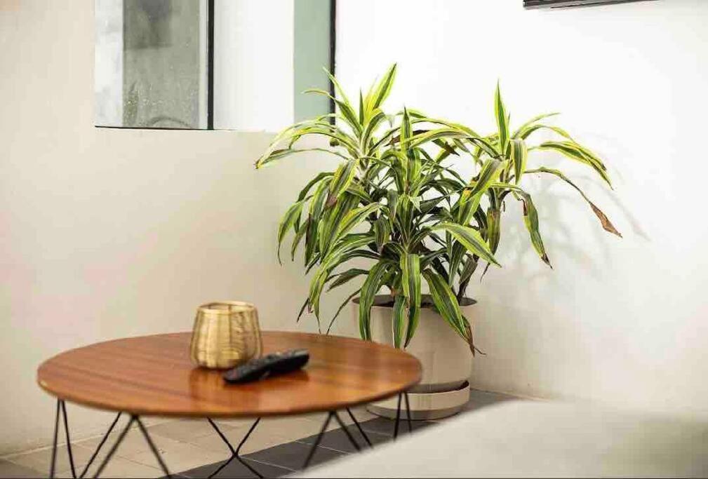 Apartamento Beautiful Loft In Colonia Americana Guadalajara