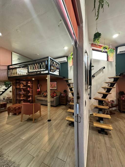 “encantador Loft” - En El Corazon De San Pedro Guadalajara