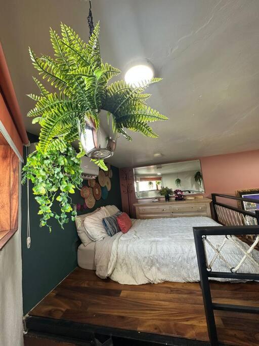 “encantador Loft” - En El Corazon De San Pedro Apartamento