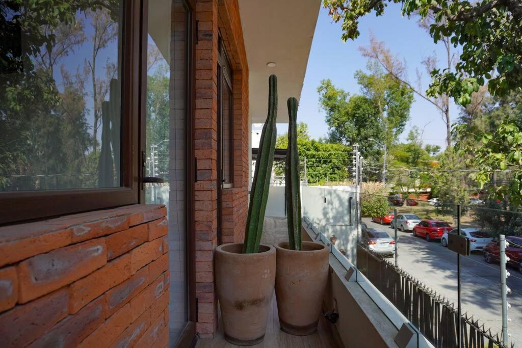 Casa Nawuales - Terraza - Centrico