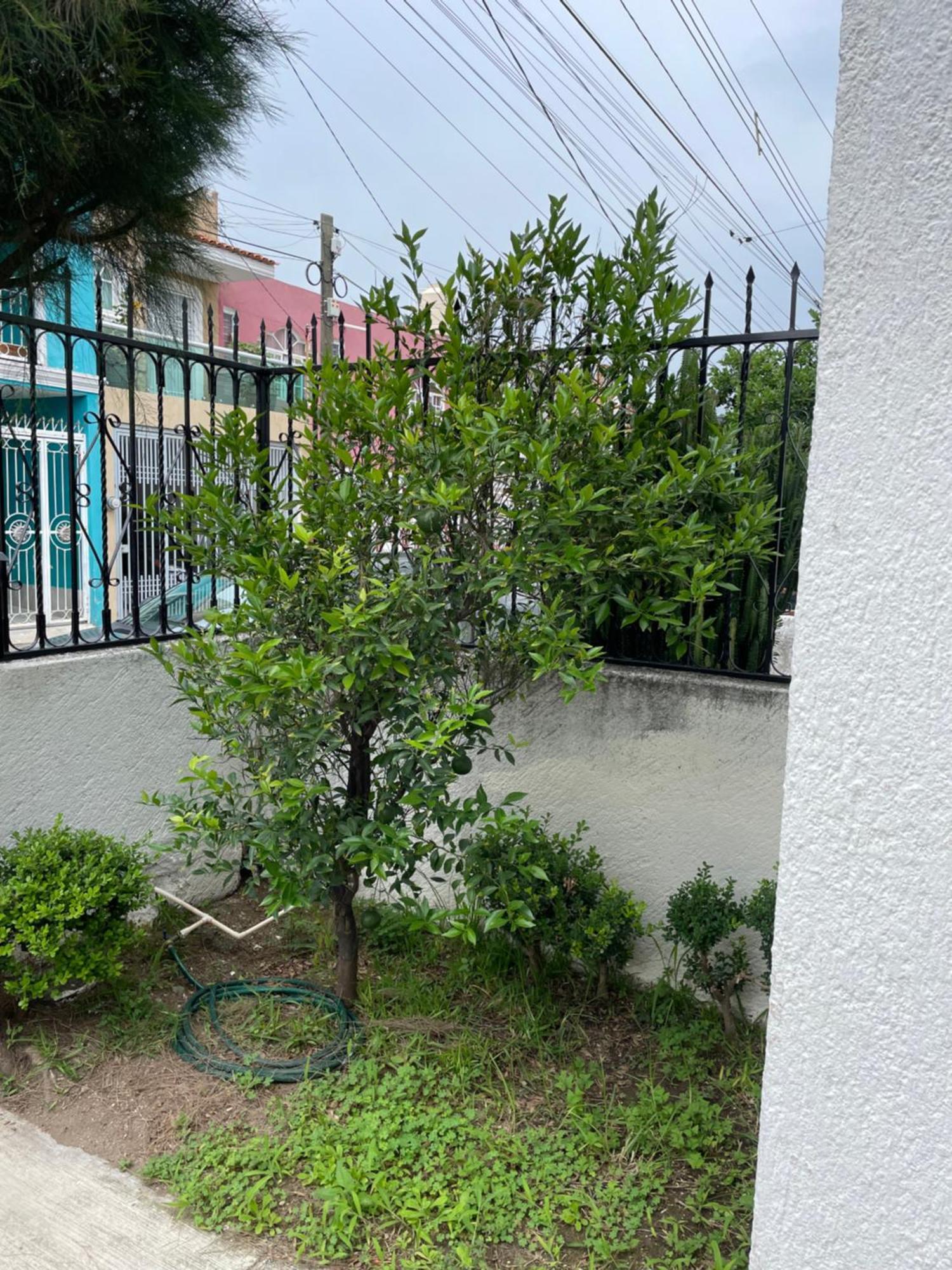 Casa Habitacion En Zapopan Сasa de vacaciones *