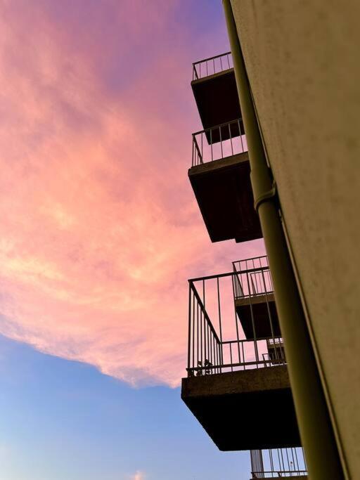 Apartamento Departamento Zona Centro Guadalajara