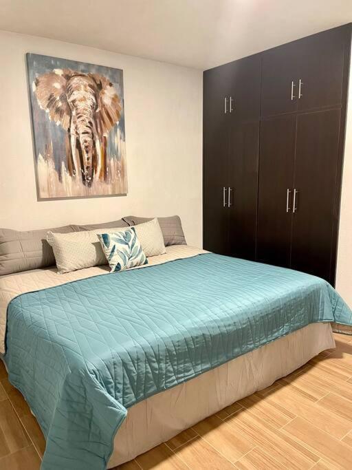 Apartment Vico Rose *