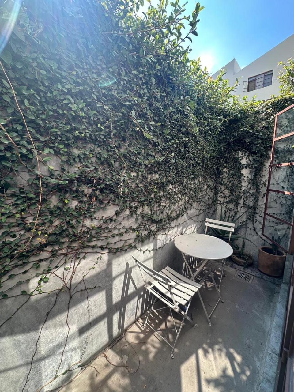 Apartment Stylish In Chapultepec *