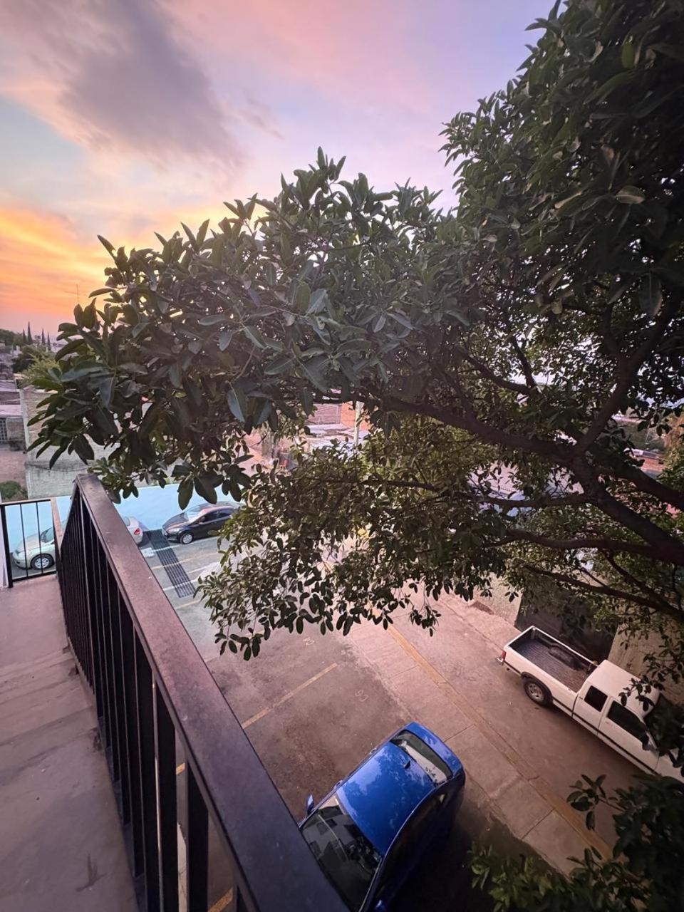 Apartamento Departamento Nuevo Completo Zoologico Gdl