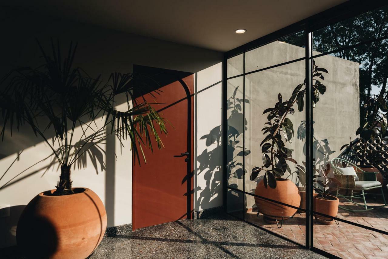 Casa Ixaya By Barrio México 3* Guadalajara