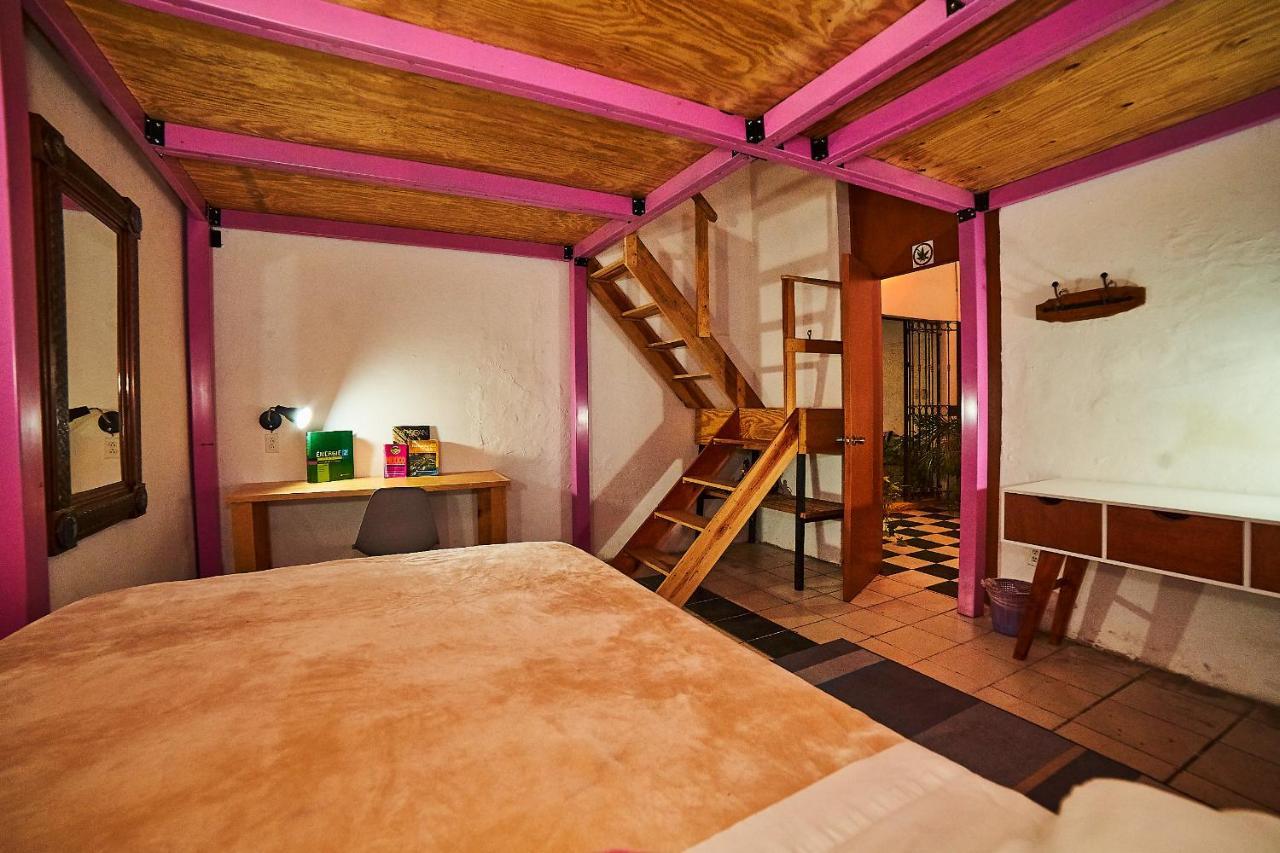 Blue Pepper Coliving Downtown Hostal Guadalajara