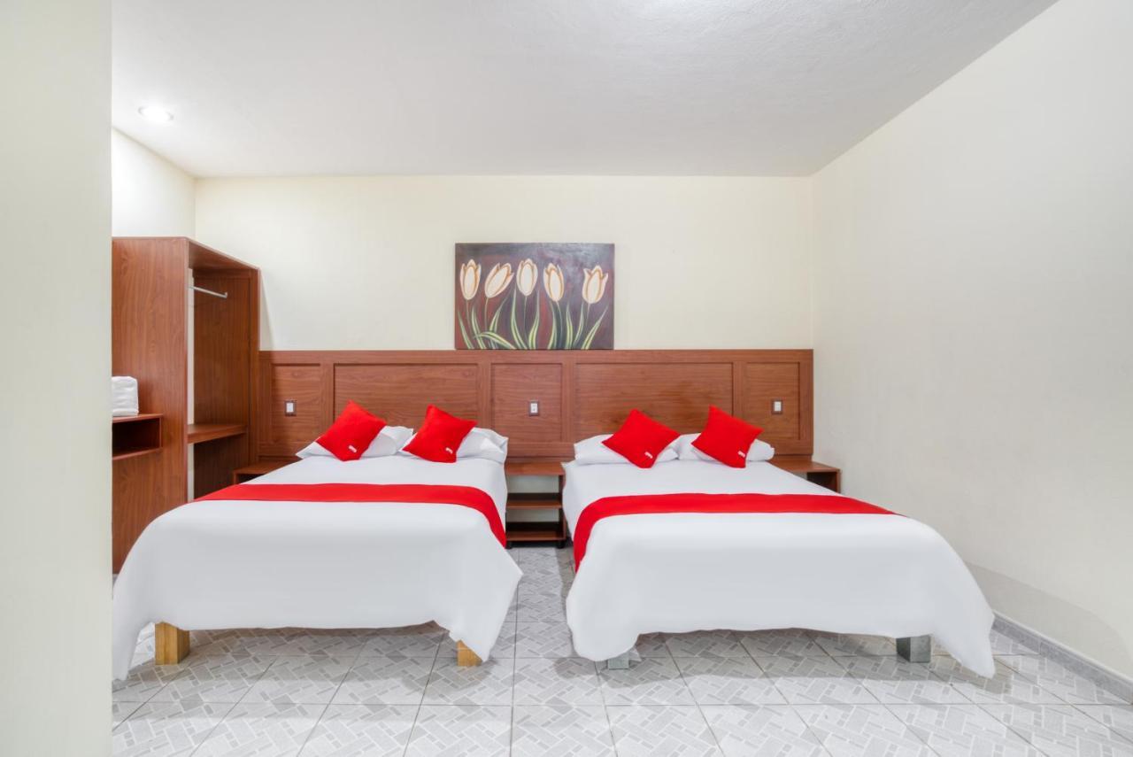 Oyo Platinium Gran Hotel,guadalajara,artesanias Tonala 5*