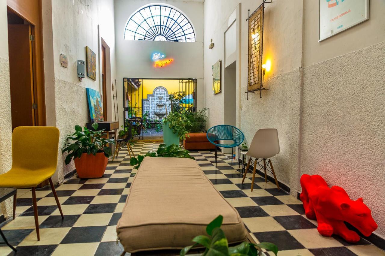 Blue Pepper Coliving Downtown Guadalajara