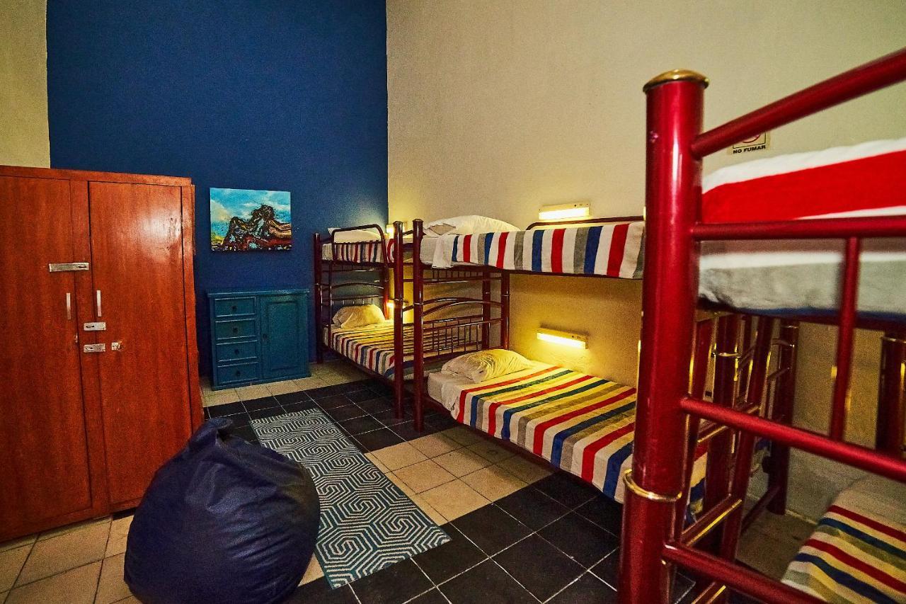 Blue Pepper Coliving Downtown Hostal Guadalajara