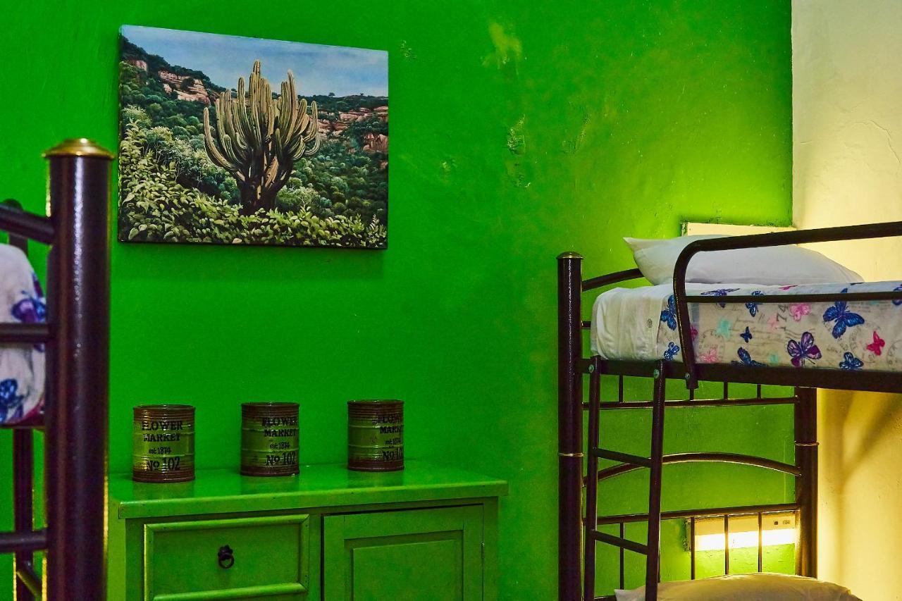 Blue Pepper Coliving Downtown Guadalajara