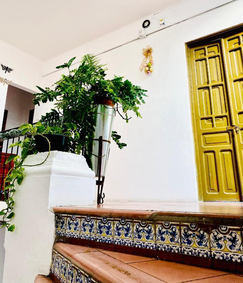 Pensión Santuario De Libelulas Guadalajara