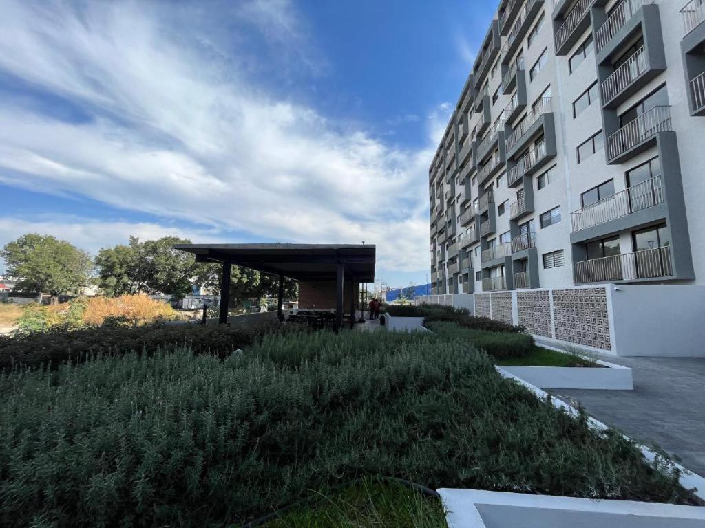 Apartamento Moderno Y Centrico Apto Ideal Un Descanso