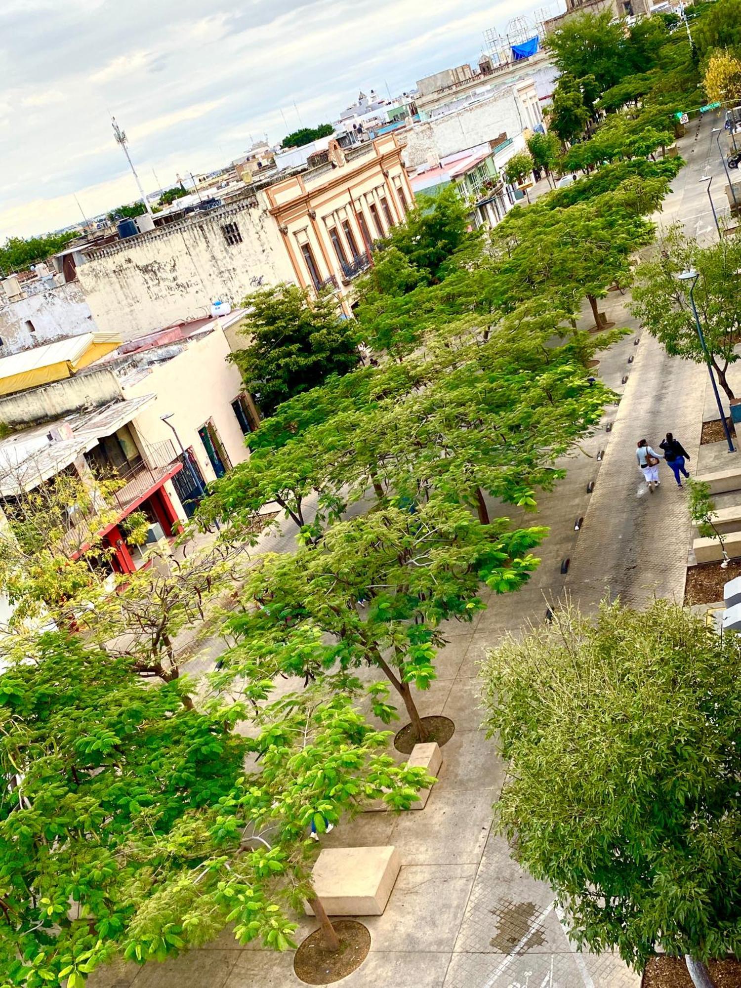 Pensión Santuario De Libelulas *