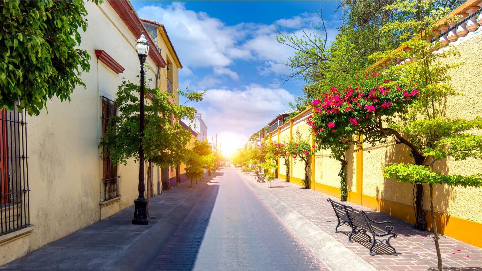 Hacienda Antigua Tlaquepaque 2br 2ba 300mbps Int