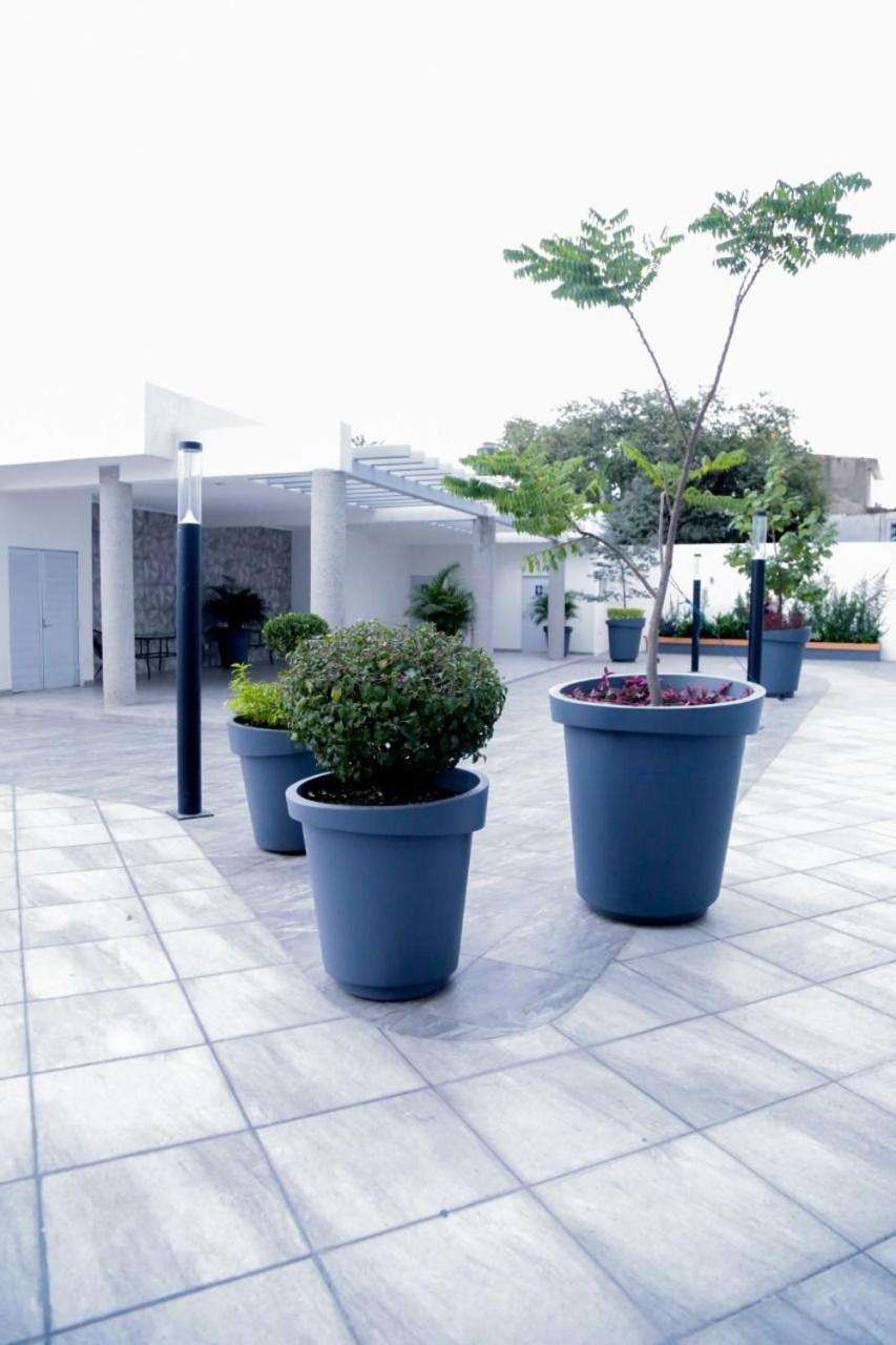 Comfort Flat In Apartamento *