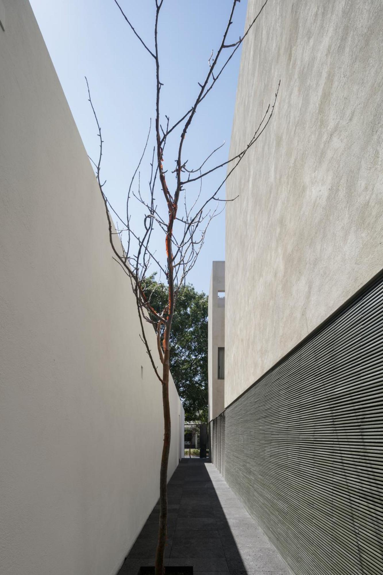Everness Guadalajara