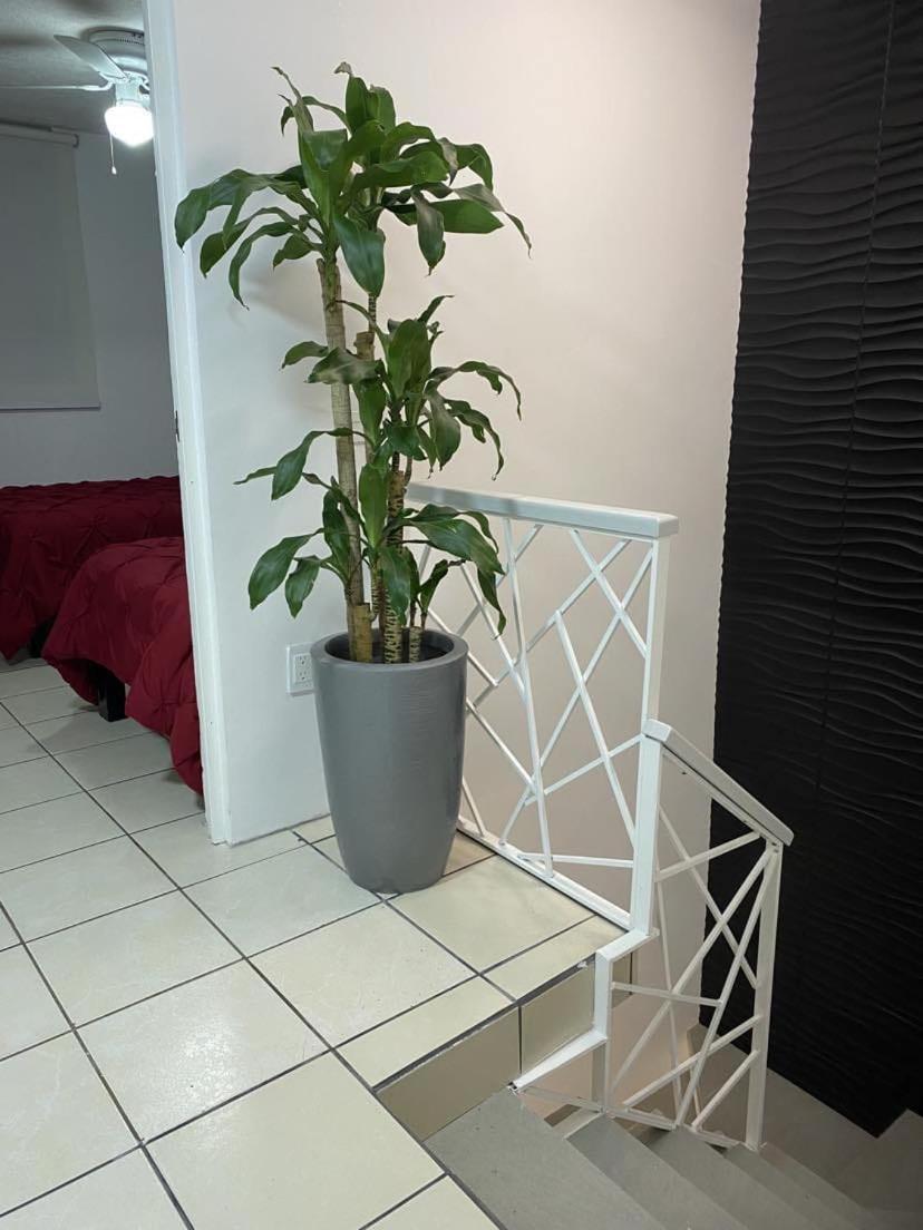 Casa Orquidea *