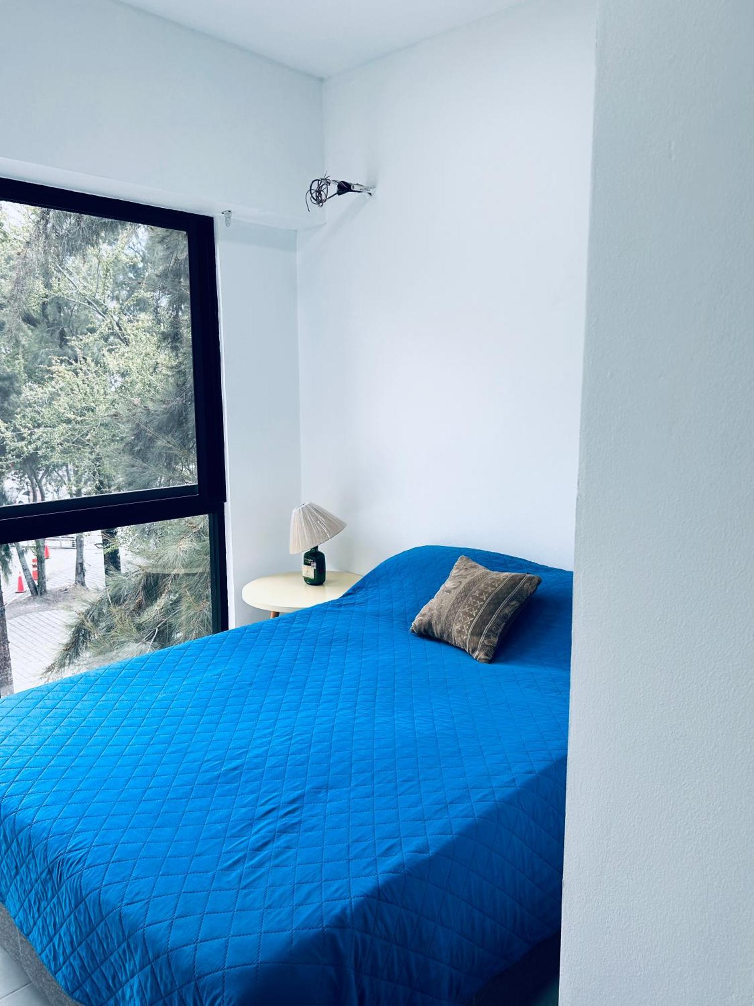 Apartment Azul Y Guadalajara!