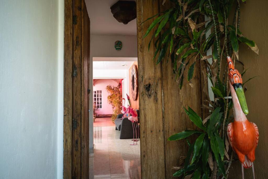 Casa Flamingos En El Centro De Tlaquepaque Holiday home Guadalajara