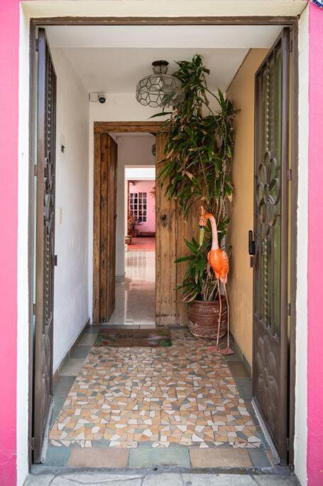 Casa Flamingos En El Centro De Tlaquepaque Holiday home