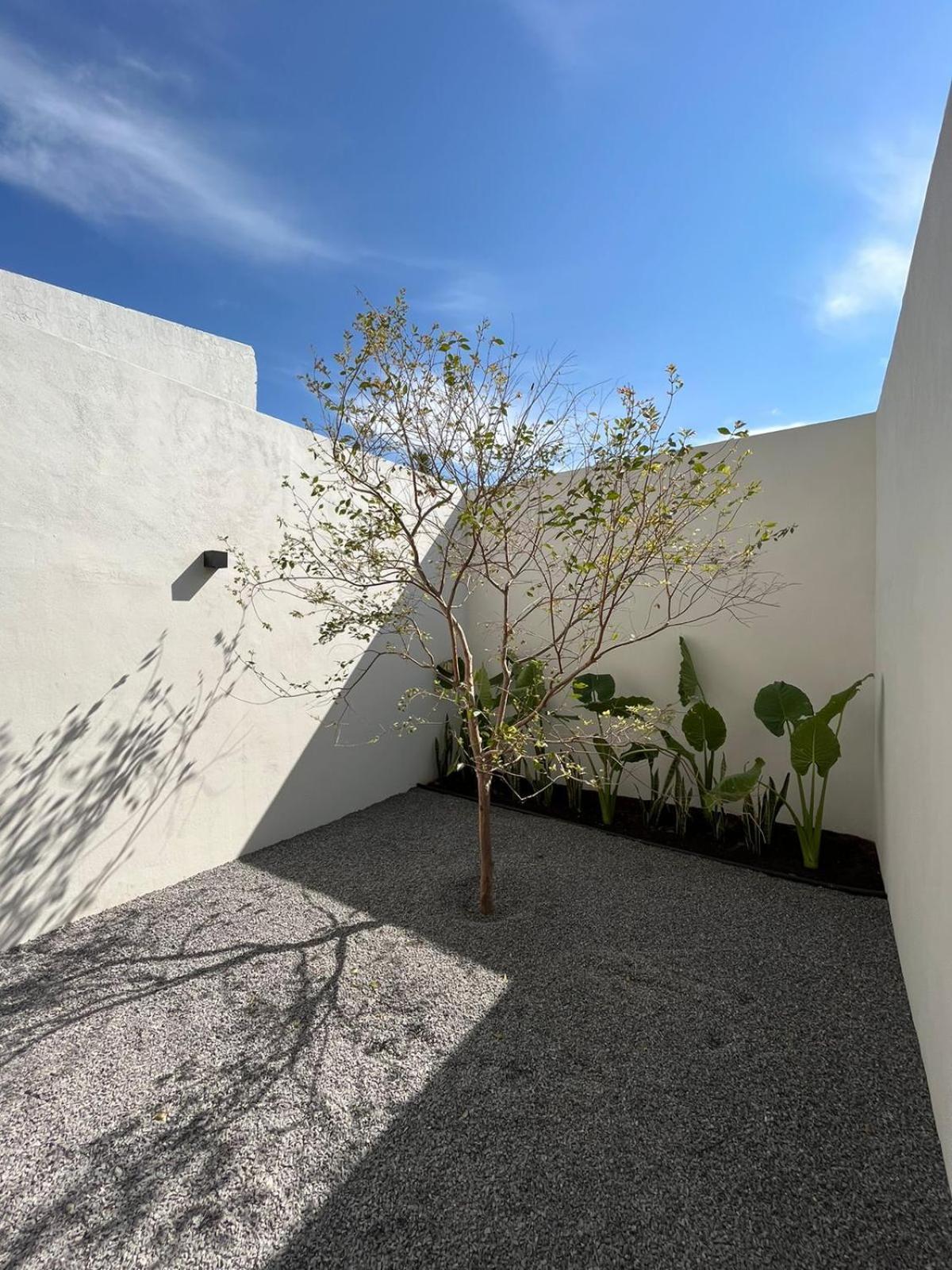 Apartamento Lapso Asis *