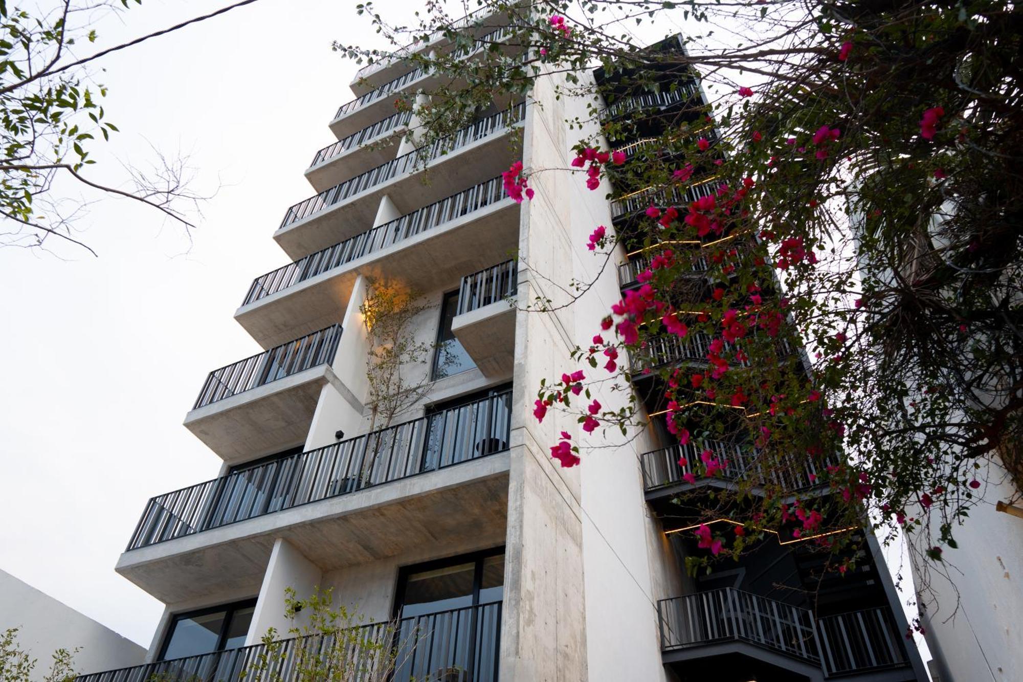 Lapso Asis Apartamento