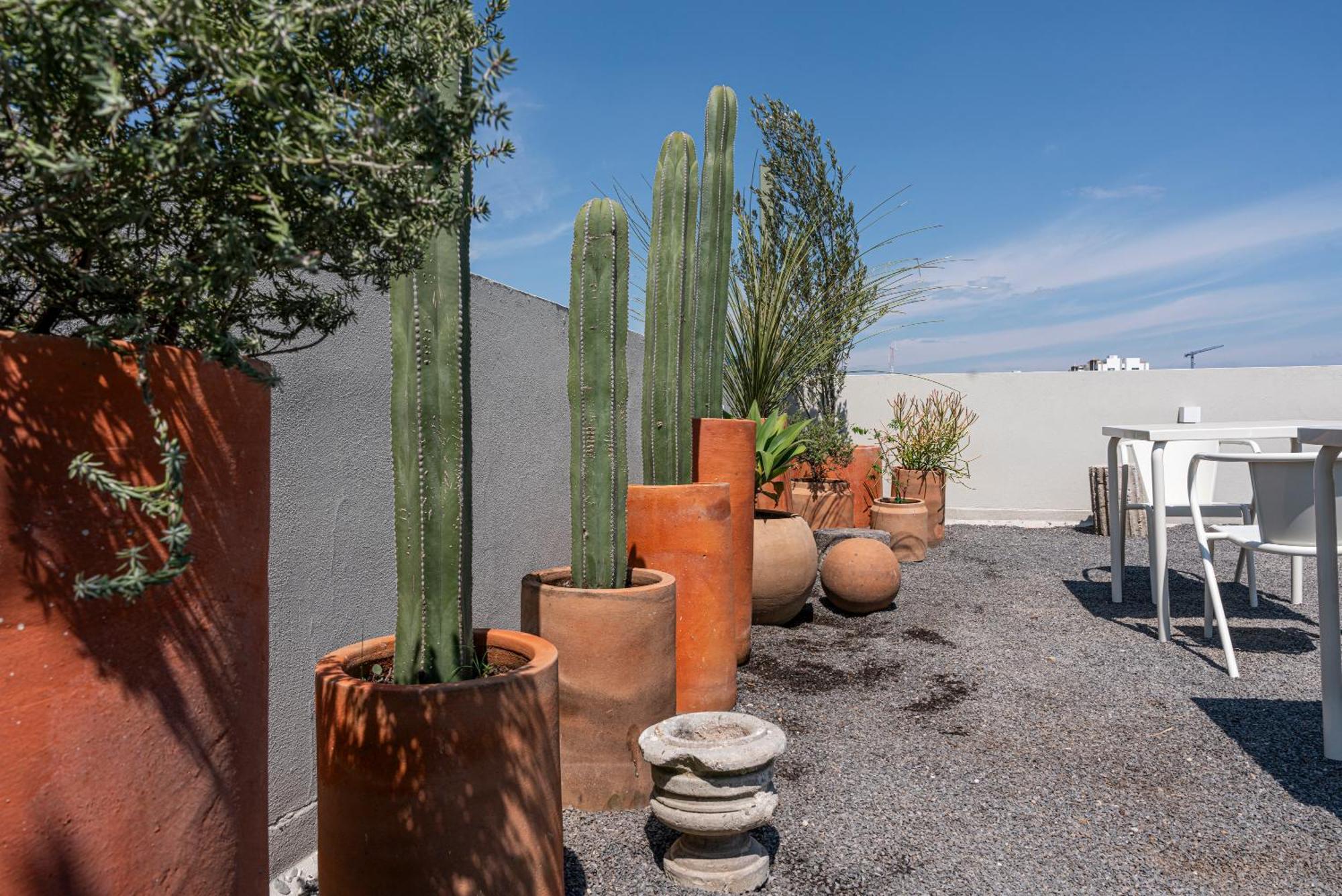 Apartamento Casa Teresa By Barrio Mexico Guadalajara