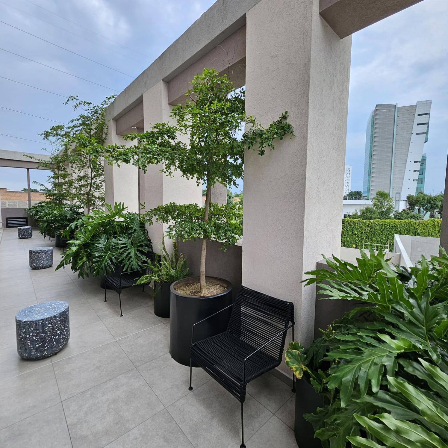Apartamento Lafayette By Mrw Guadalajara