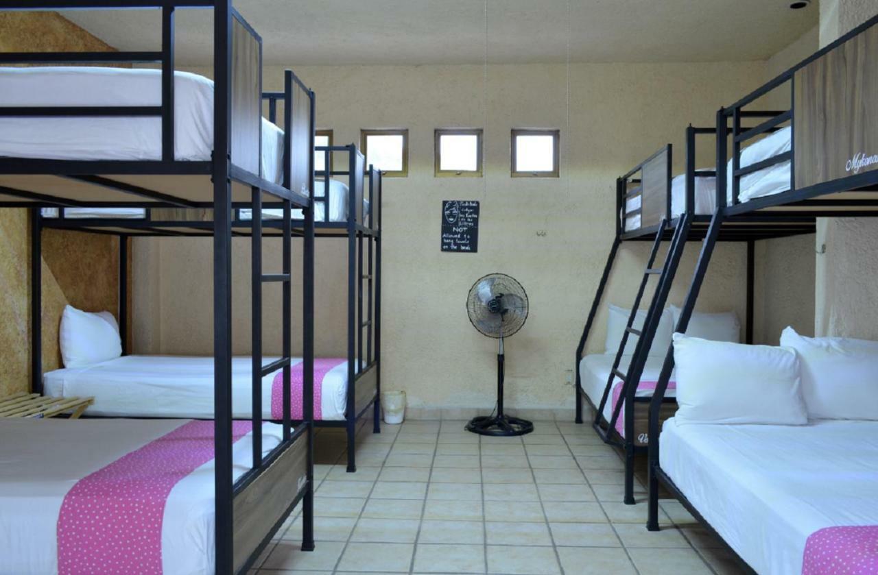 Hostalife Hostal